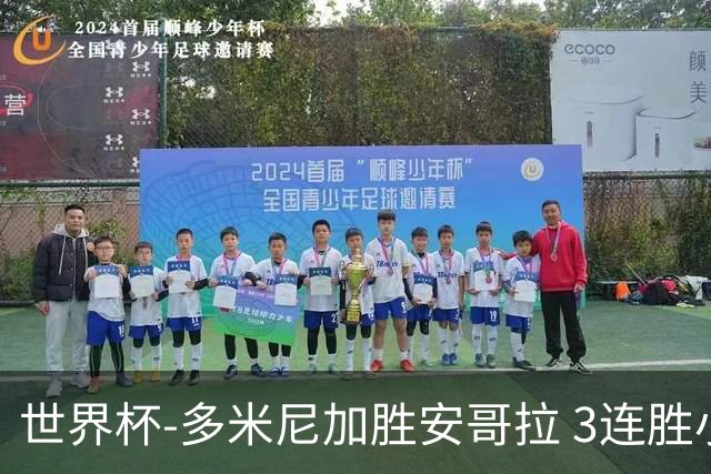 世界杯-多米尼加胜安哥拉 3连胜小组第一晋级